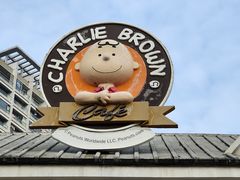 -史努比缤纷世界