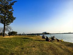 -漕湖湿地公园