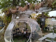 -安德鲁户外烧烤帐篷营地(马泉营店)