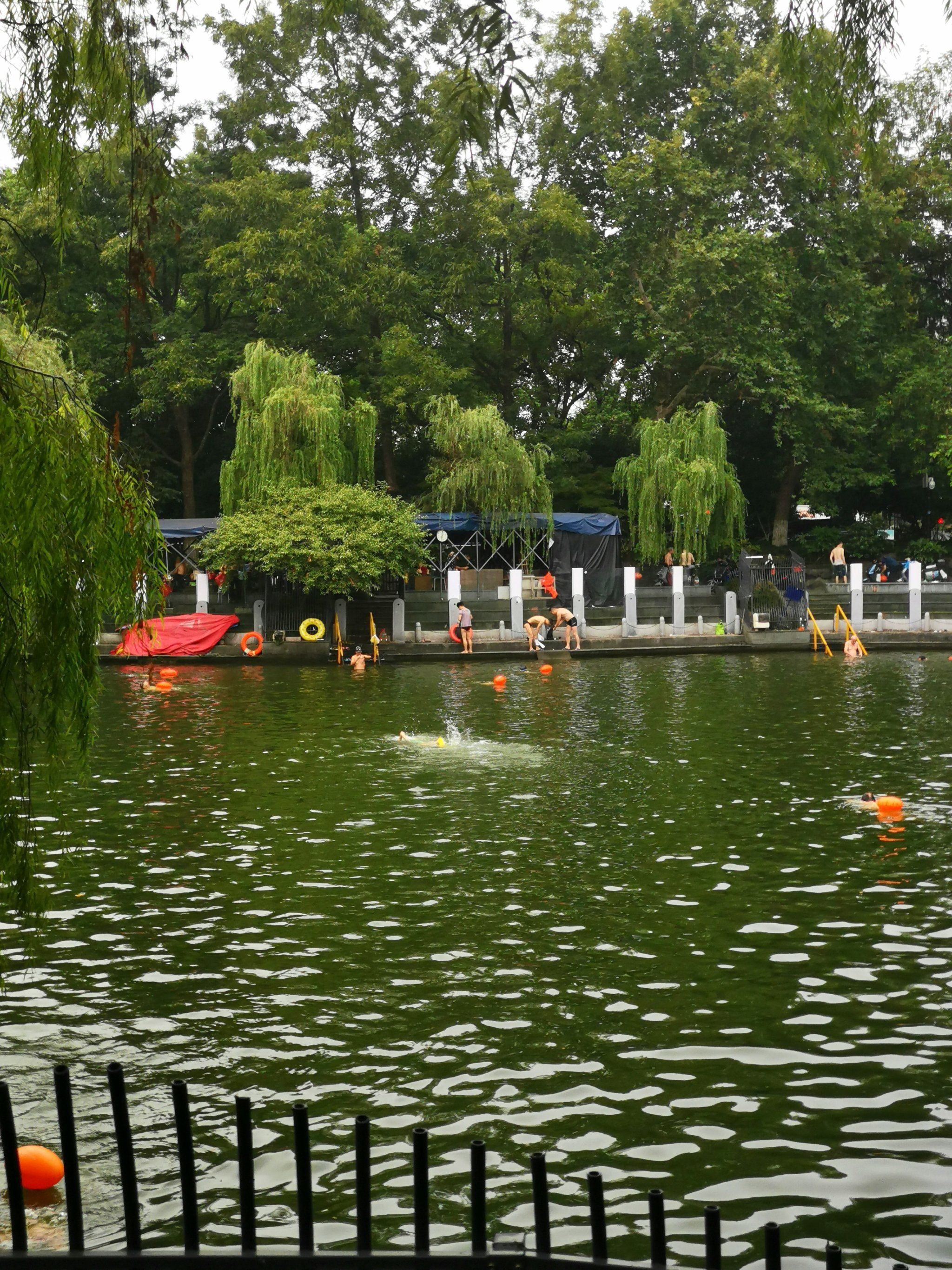 杭州本地人才知道的免费游泳🏊🏻‍♂️地