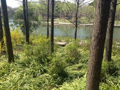 iphone_upload_pic-新江湾城公园