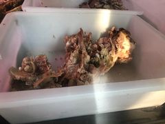 -洪记白水羊头(天坛店)