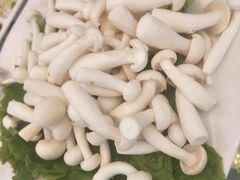 白玉菇-老毛手抓·盐池滩羊非遗手抓(宁夏总店)