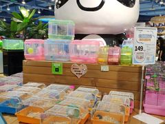 -龟与熊猫宠物公园(南坪店)