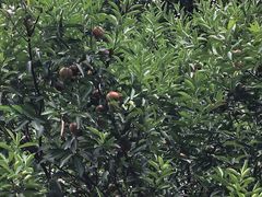 -龙头山森林公园·停车场