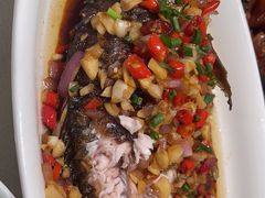 -绿草地·湘菜(芙蓉天街店)