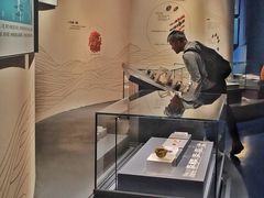 -广西壮族自治区博物馆