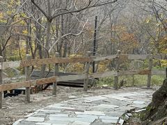 -大岭沟猕猴桃谷风景区