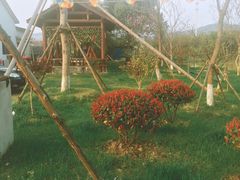 -呼吸森林·生态农庄农家乐私房菜