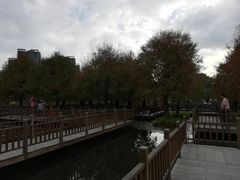 -五缘湾湿地公园