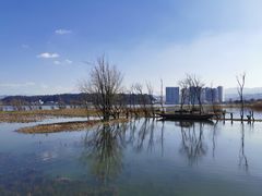 -洱海月湿地公园
