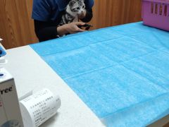 -宠福鑫动物医院·动物疾病诊疗中心(天通苑店)