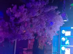 -好久不见网红乐队酒吧(鼓浪屿海底世界店)