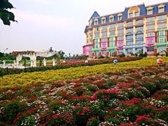 -百万葵园