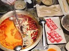 番茄鸳鸯-小龙坎火锅(总店)
