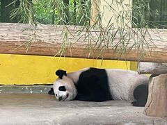 -杭州野生动物世界