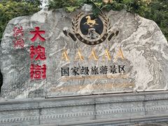 -大槐树寻根祭祖园
