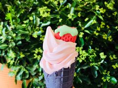 -麦当劳(金桥店)