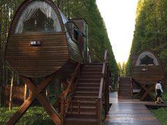 -黄海国家森林公园