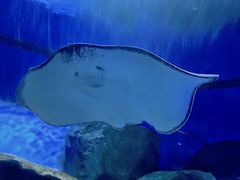 -海合安武汉极地海洋公园