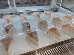 -狐狸和向日葵(北京路店)