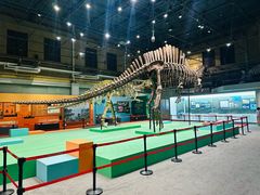 -国家自然博物馆