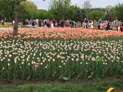 -长春公园(普阳街道)