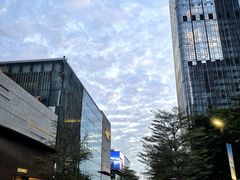 -深圳湾万象城(南山店)