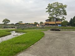 -宁波杭州湾国家湿地公园