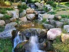 -大连植物园