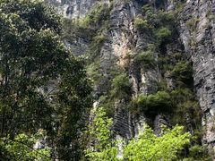 -蝶舞清江·恩施云顶景区(黄鹤峰林)