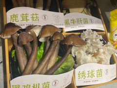 -海底捞火锅(亲子主题北金鹰店)