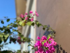 -佰推·肩颈腰·推拿理疗(湾悦城店)