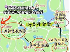 -上海共青森林公园