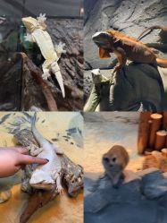 -Zoolung Zoolung动物主题公园(海信广场店)