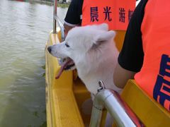 -上海长兴岛郊野公园