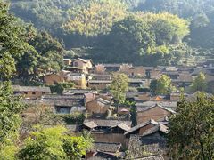 -杨家堂村