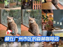 -咖法森林·咖啡  酒吧(天河店)