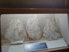 -上海邮政博物馆