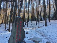 -硗碛藏寨·神木垒景区