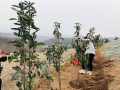 -白鹿原影视城