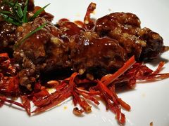 -凤凰湘语(浦东旗舰店)