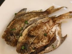 -漢咖啡·全服务式自助晚餐(武汉洲际酒店)