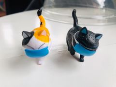 -喵屿·大理花园猫咖