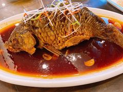 -津菜宋记老房子(鼓楼店)