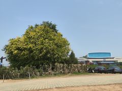 -君乐宝优致牧场