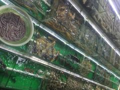 长青路覃记海鲜炒菜烧烤(四川重庆)-覃记海鲜美食餐厅