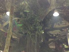 -新世纪绿洲(抚顺店)