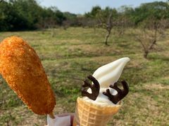 -良渚古城遗址公园