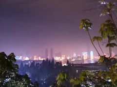 -武汉长江大桥